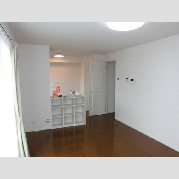 居室・リビング (LDK11.8帖)