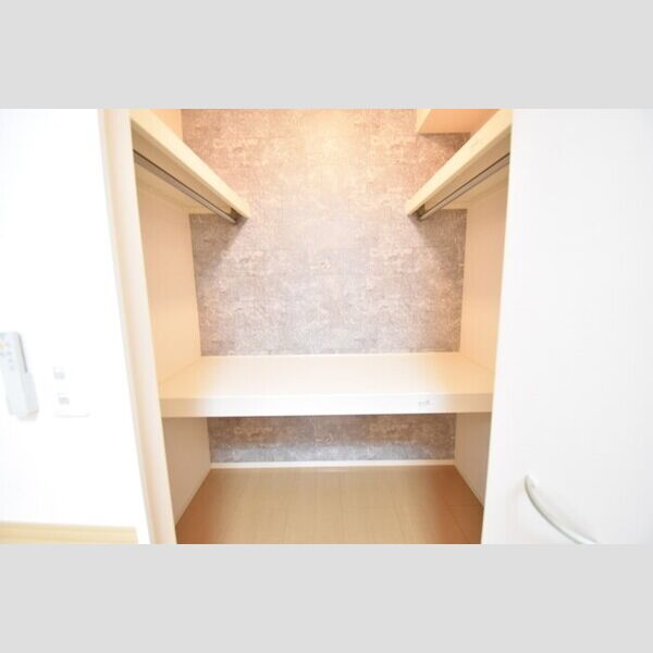 収納 (ウォークインクローゼット)