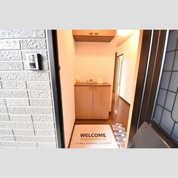 玄関 (シューズボックス(カウンタータイプ))