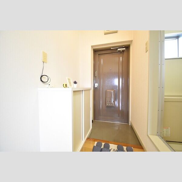 玄関 (玄関・シューズボックス(カウンタータイプ))