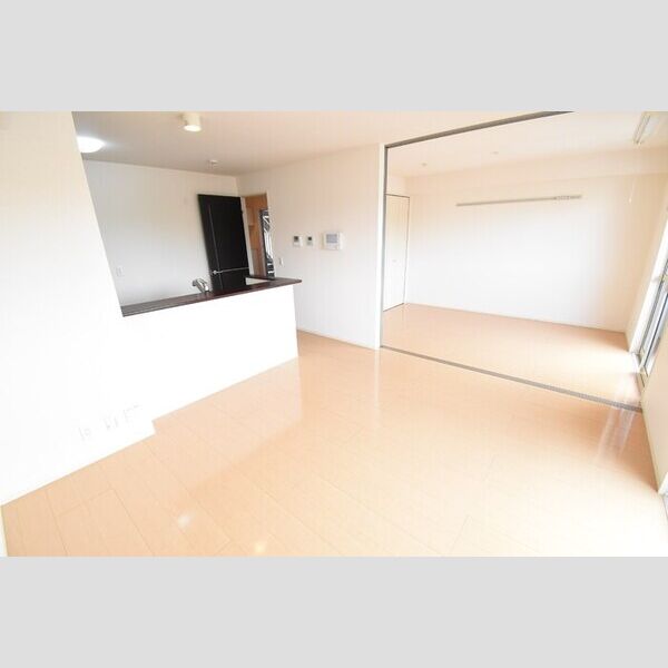 居室・リビング (LDK12帖～南洋室6帖)