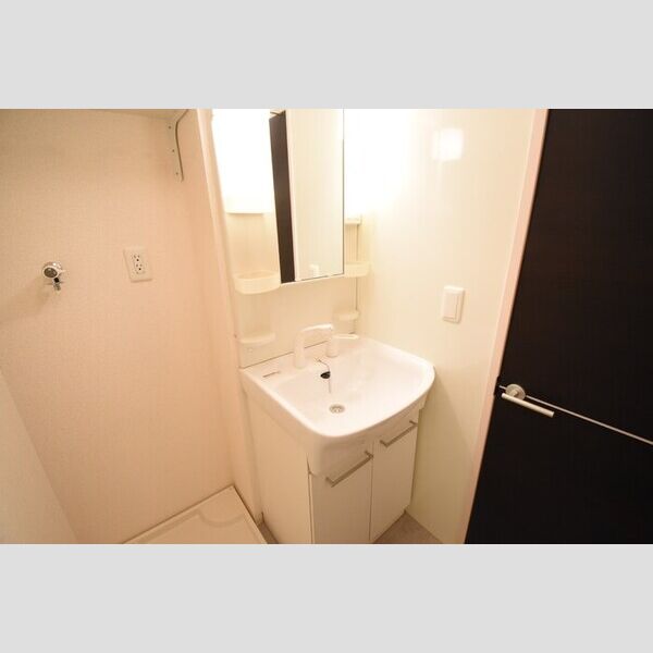 洗面所 (洗髪洗面化粧台)