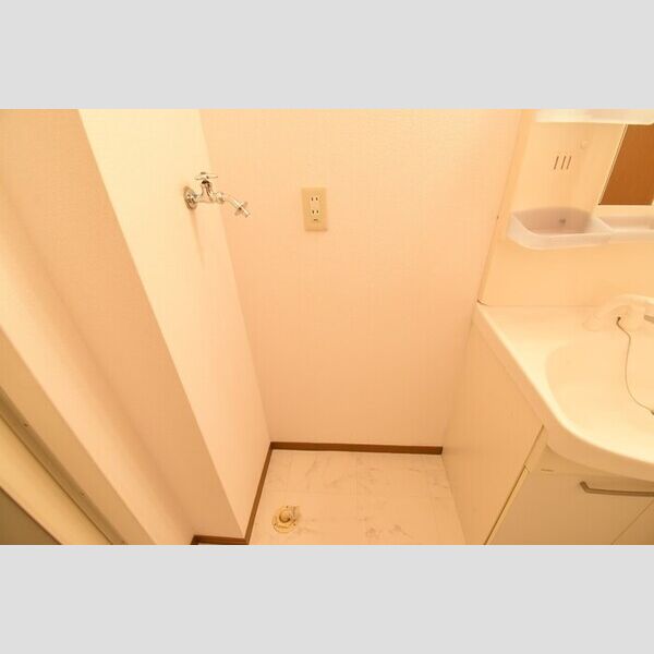 洗面所 (室内洗濯機置場)