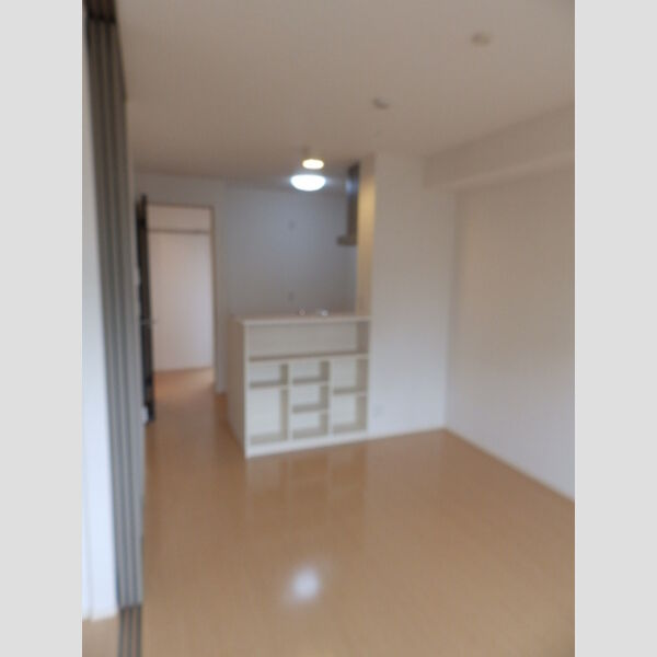 居室・リビング (LDK10帖)