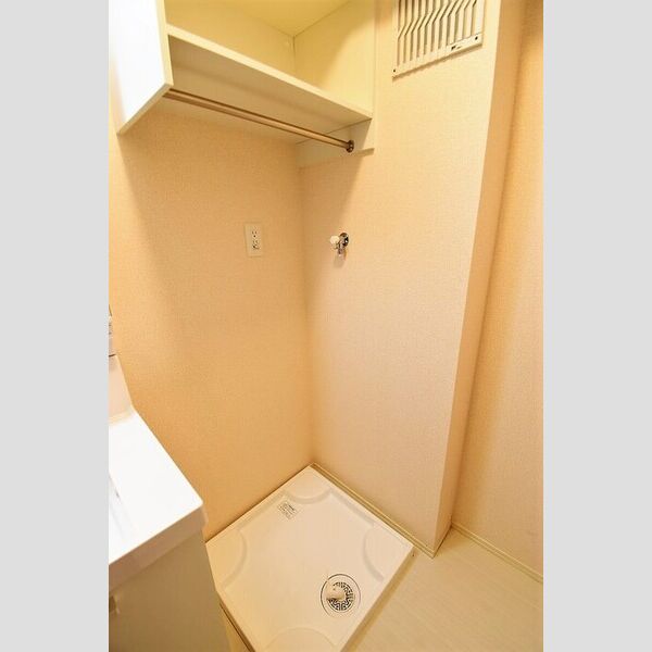 その他 (室内洗濯機置場)