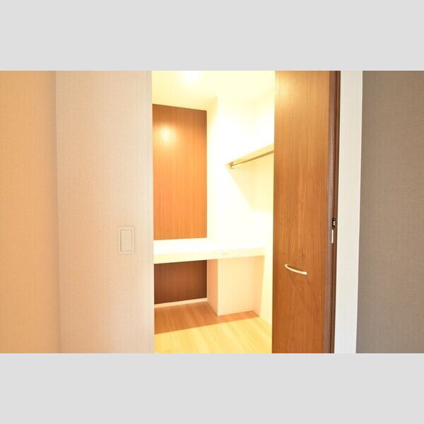 収納 (ウォークインクローゼット)