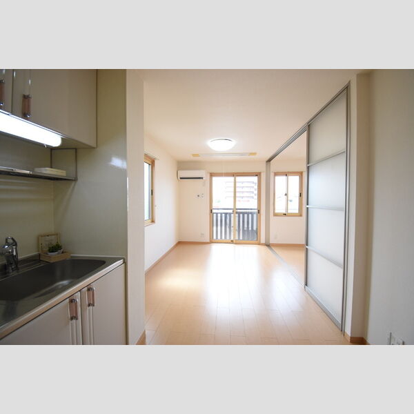 居室・リビング (LDK9.5帖)