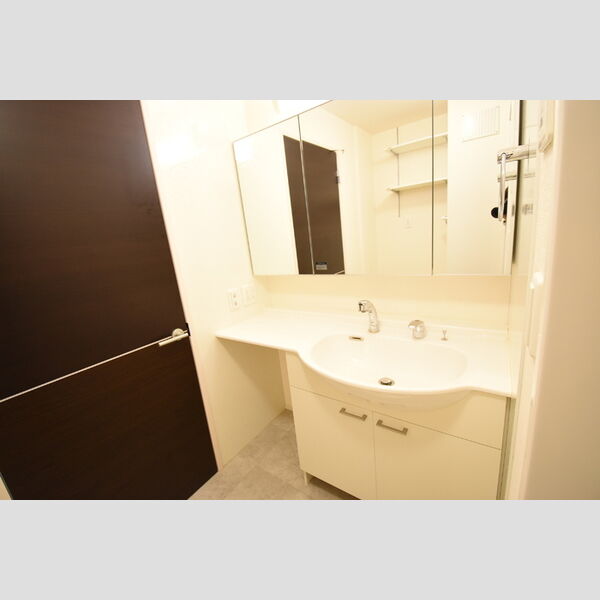 洗面所 (洗髪洗面化粧台)