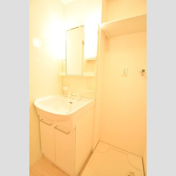 洗面所 (洗髪洗面化粧台・室内洗濯機置場)