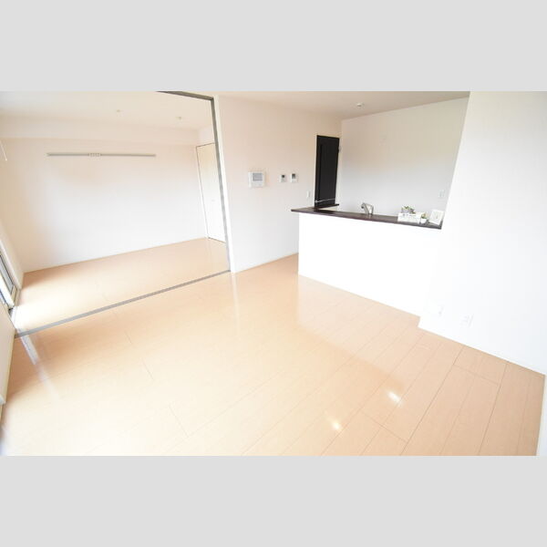 居室・リビング (LDK12帖～南西洋室6帖)