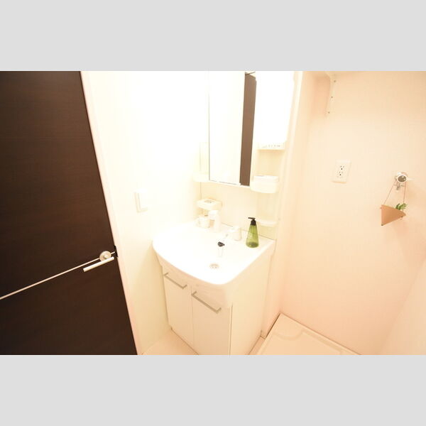 洗面所 (洗髪洗面化粧台)