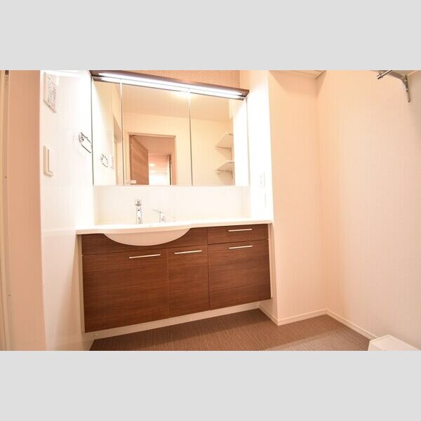 洗面所 (洗髪洗面化粧台)