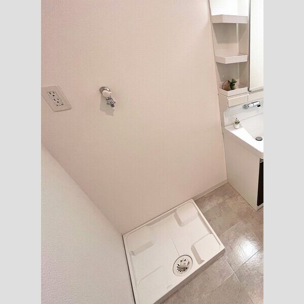 その他 (室内洗濯機置場)