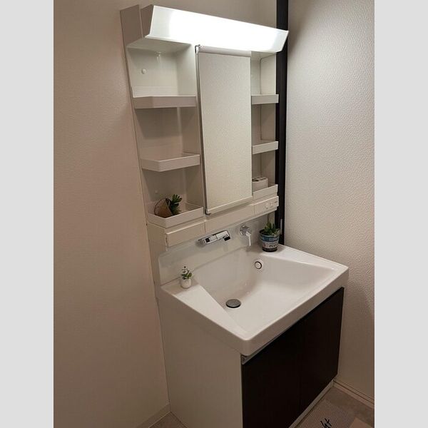 洗面所 (洗髪洗面化粧台)