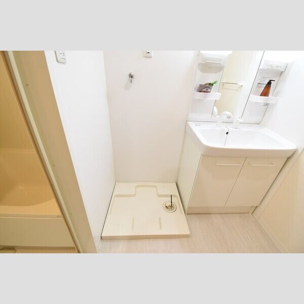 洗面所 (洗髪洗面化粧台・室内洗濯機置場)