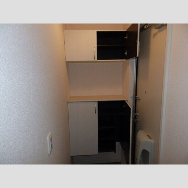 その他 (シューズボックス)