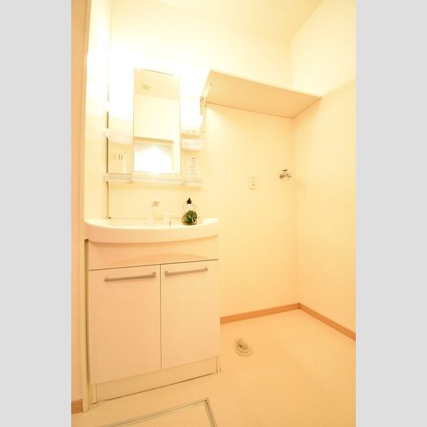 洗面所 (洗髪洗面化粧台・室内洗濯機置場)