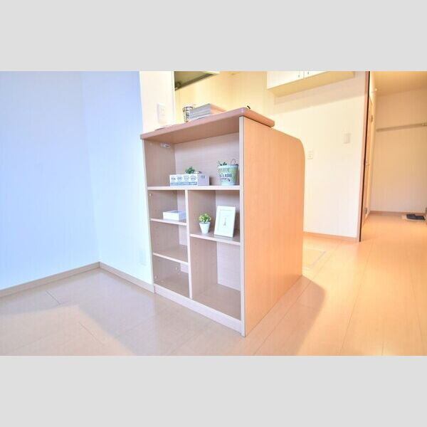 収納 (カウンター下棚)