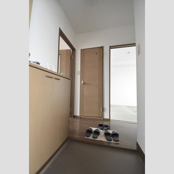 玄関 (玄関・シューズボックス(カウンタータイプ))