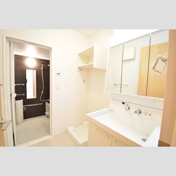 洗面所 (洗髪洗面化粧台・室内洗濯機置場)