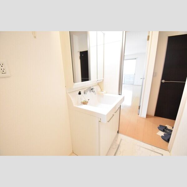 洗面所 (洗髪洗面化粧台)