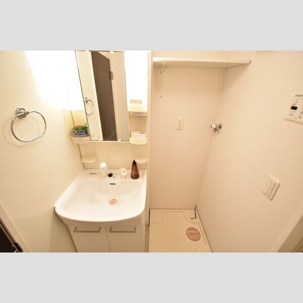 洗面所 (洗髪洗面化粧台・室内洗濯機置場)