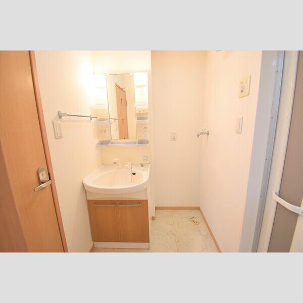 洗面所 (洗髪洗面化粧台・室内洗濯機置場)