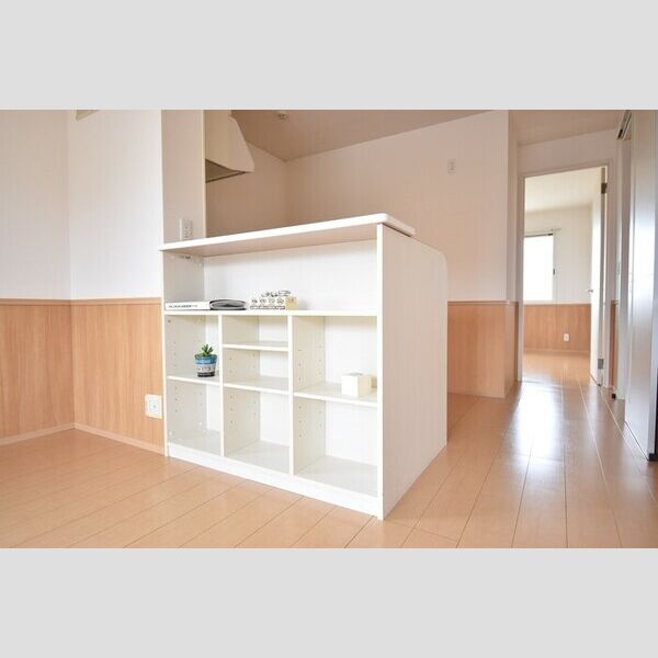 収納 (カウンター下棚)