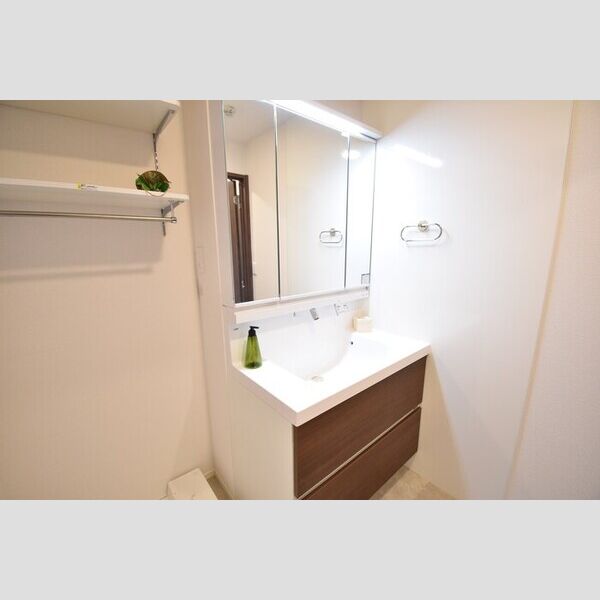 洗面所 (洗髪洗面化粧台)