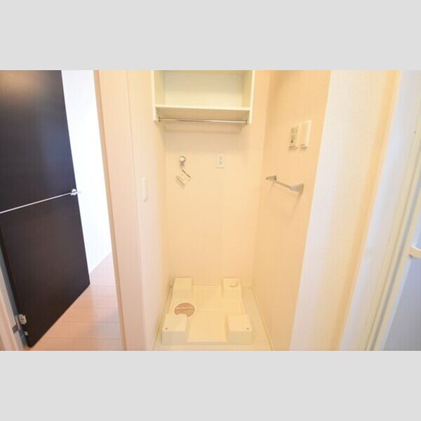 その他 (室内洗濯機置場)