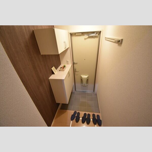 玄関 (玄関・シューズボックス(カウンタータイプ))