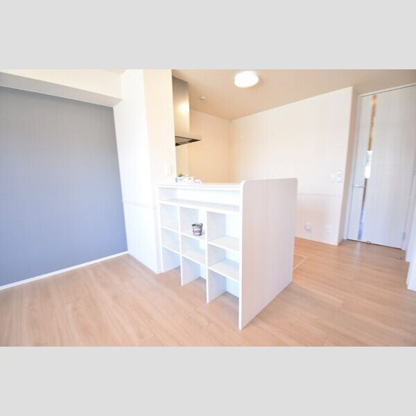 収納 (カウンター下収納)