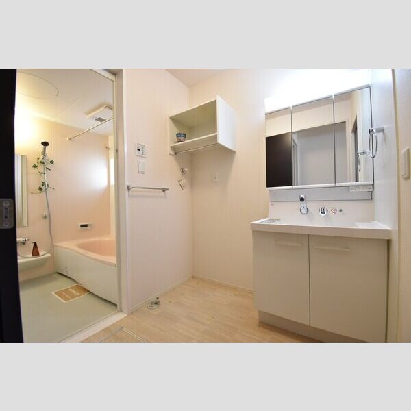 洗面所 (洗髪洗面化粧台・室内洗濯機置場)