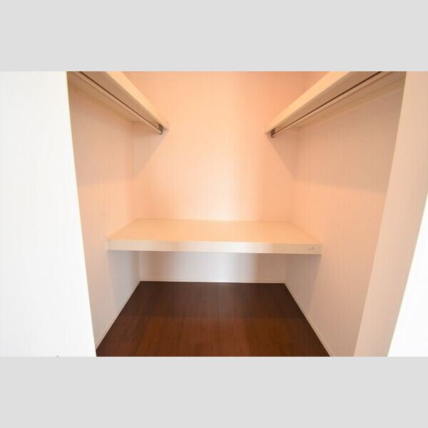 収納 (ウォークインクローゼット)