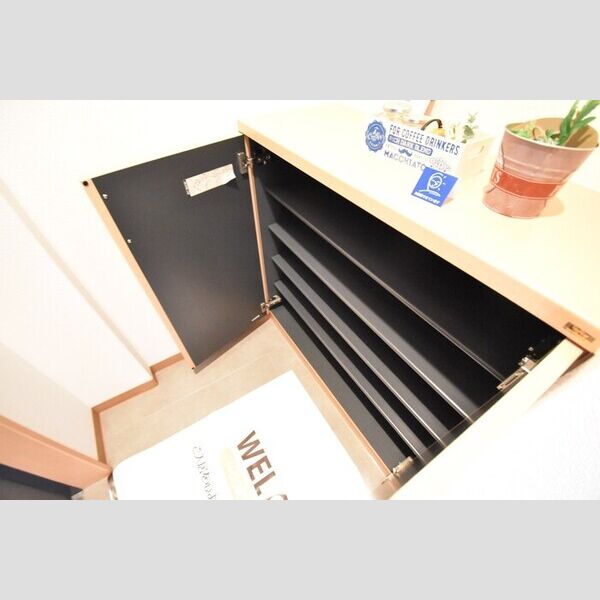 玄関 (シューズボックス)