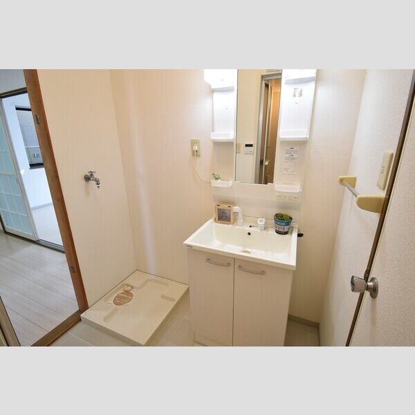 洗面所 (室内洗濯機置場・洗髪洗面化粧台)