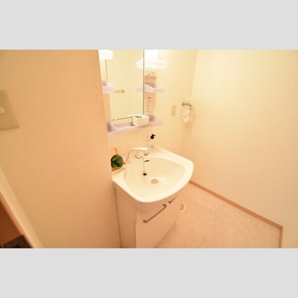 洗面所 (洗髪洗面化粧台)