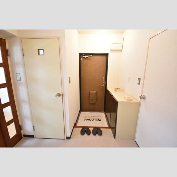 玄関 (玄関～シューズボックス(カウンタータイプ))