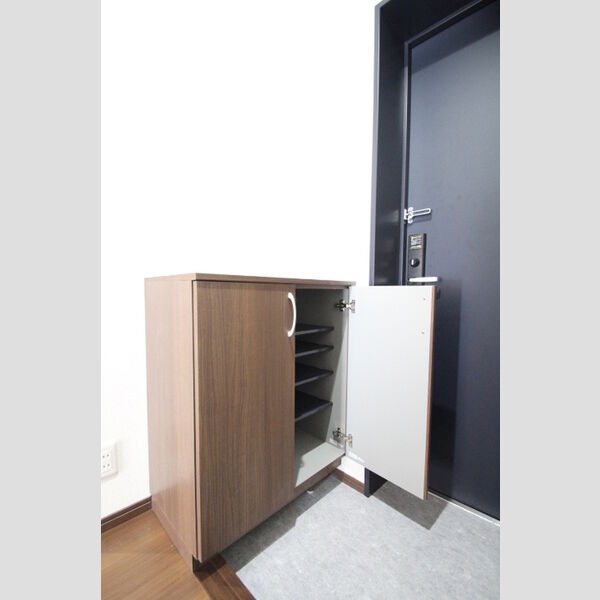 その他 (シューズボックス)