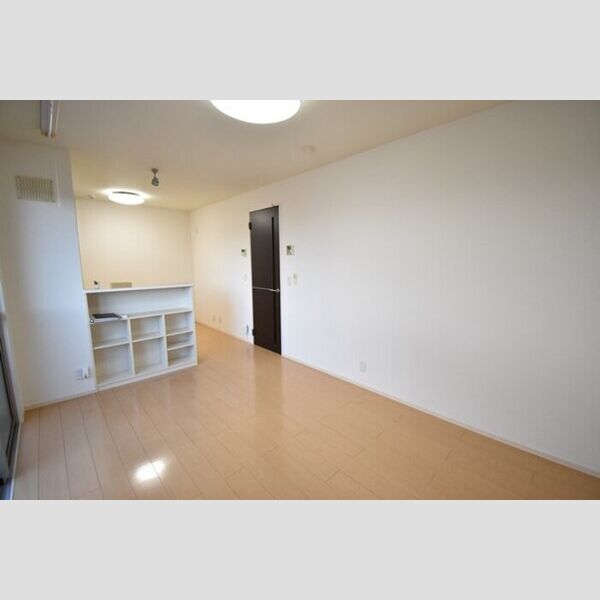 その他 (LDK10.2帖)