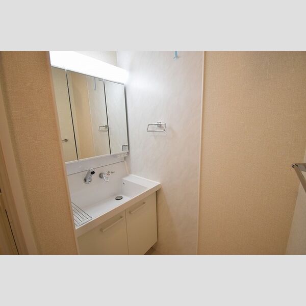 洗面所 (洗髪洗面化粧台)