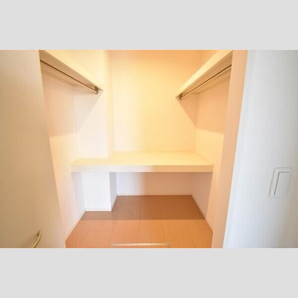 収納 (ウォークインクローゼット(洋室))