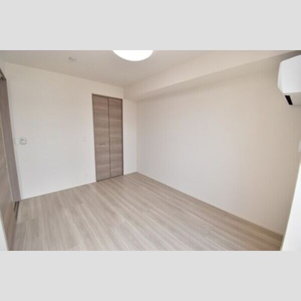 その他 (ウォークインクローゼット(南洋室))