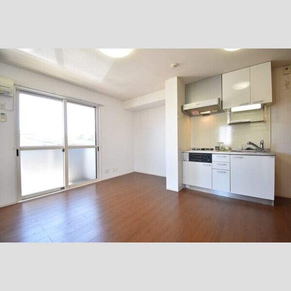 その他 (LDK10帖)