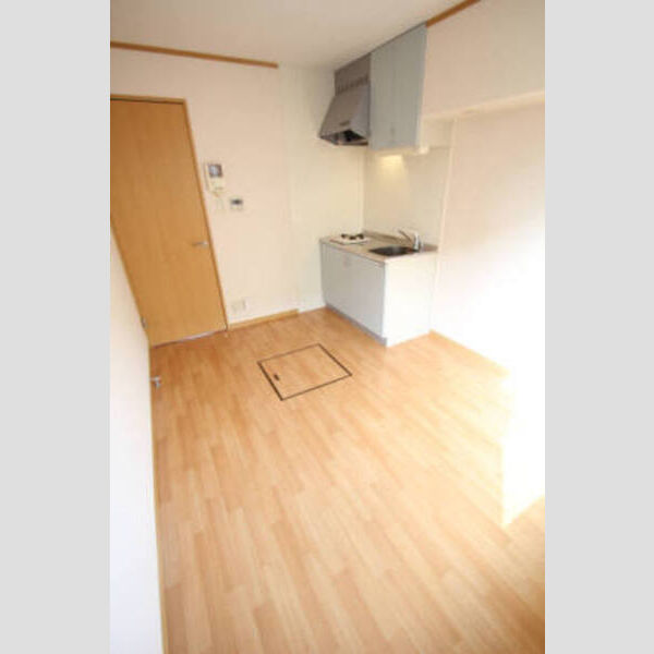 居室・リビング (DK(システムミニキッチン付))