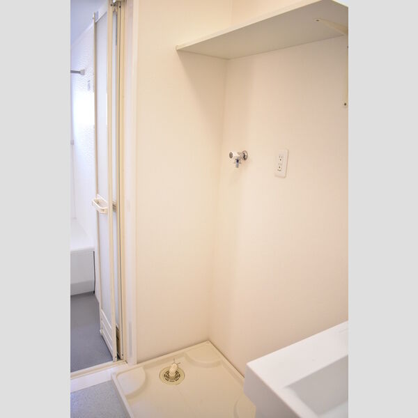 洗面所 (室内洗濯機置場)