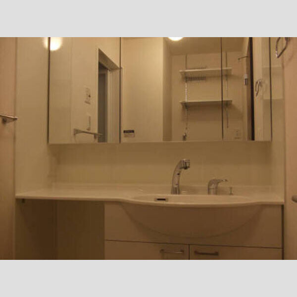 洗面所 (201洗髪洗面化粧台)