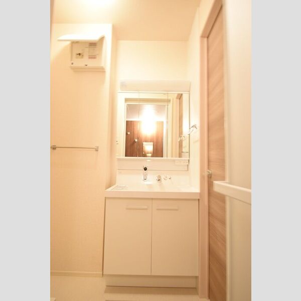 洗面所 (洗髪洗面化粧台)