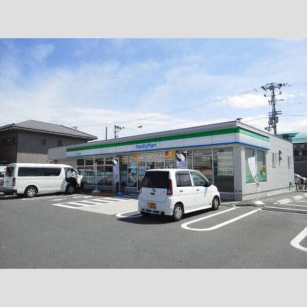 現地周辺 (ファミリーマート徳島金沢店まで653m)