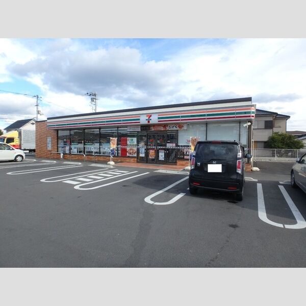 現地周辺 (セブンイレブン 藍住インター店)